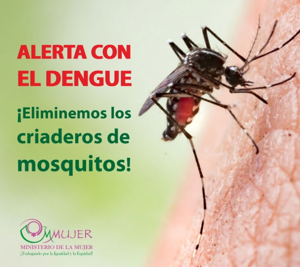 Ministerio de la Mujer se une a campaña de prevención del dengue