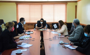 Ministerio de la Mujer presentó propuestas ante Senado sobre proyecto de reforma al Código Penal