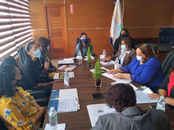 Ministerio de la Mujer y Federación Dominicana de Mujeres ponderan acuerdos a favor del sector